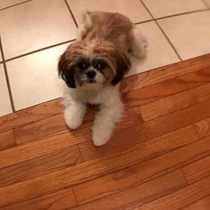 Meet your Posher, Cida